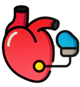 cells